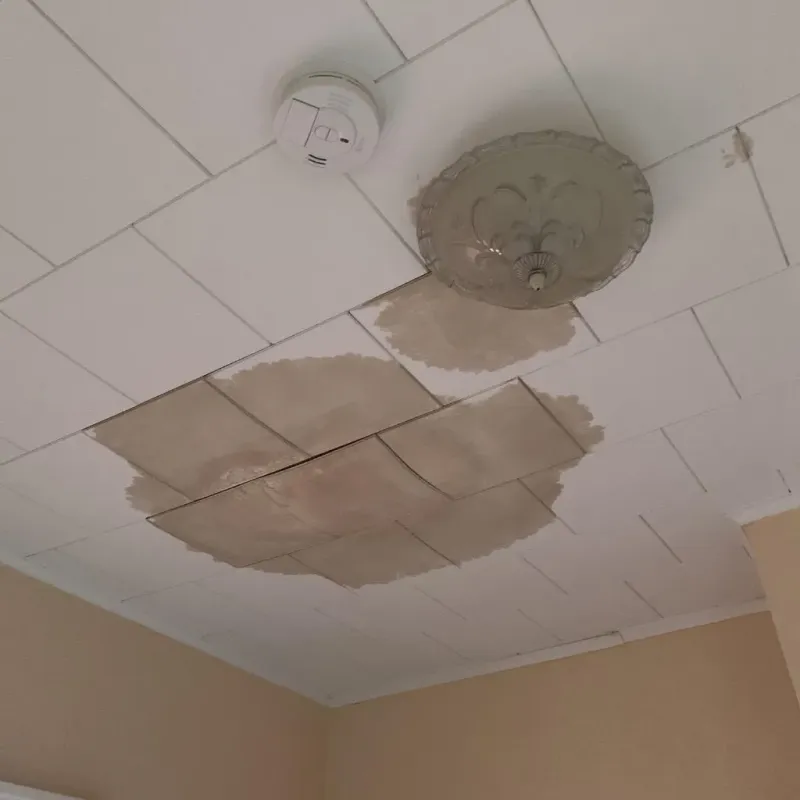Ceiling Water Damage Repair in Bajadero, PR