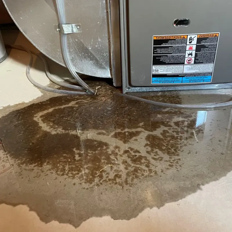 Pipe Burst and Leak Restoration in Bajadero, PR