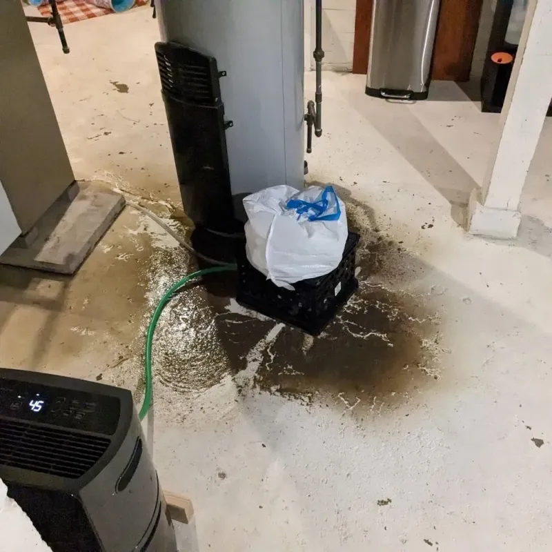 Sewage Backup Cleanup Service in Bajadero, PR